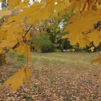 Осень :: Игорь Ковалев