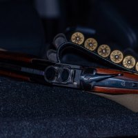 Перед охотой :: Владимир Иванович