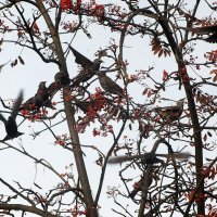 ** :: Зоя Мишина