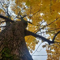 ааа :: Артём 