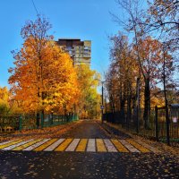 **** :: Алексей Архипов