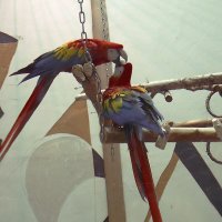 В московском зоопарке 11 октября 2025 года. :: Игорь Олегович Кравченко