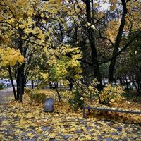 Осень листвой нас закидала… :: Любовь 
