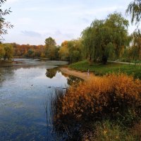 Золотая! :: Андрей Лукьянов