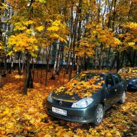Золотая! :: Андрей Лукьянов Золотая! :: Андрей Лукьянов