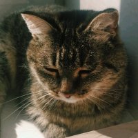 Марфа :: Георгиевич 