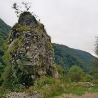 На границе с Абхазией :: Tata Wolf