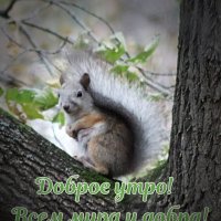 *** :: Любовь Сахарова