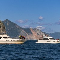 ... :: Жора Житников