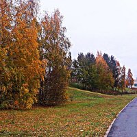 Октябрь..У церковного холма! :: Владимир 