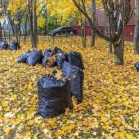 Урожай :: Валерий Иванович Урожай :: Валерий Иванович