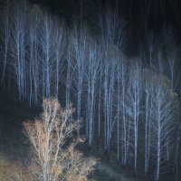 * :: Александр Иванов