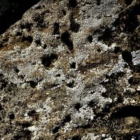 Что это? :: Александр Деревяшкин