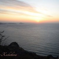 Природа Крыма :: Amazing Cosmea