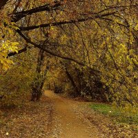 !!!! :: kolyeretka !!!! :: kolyeretka