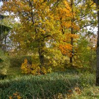 *** :: Геннадий Порохов *** :: Геннадий Порохов