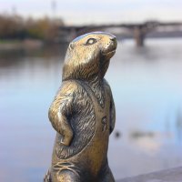 Легендарные суслики Красноярска :: Василий 