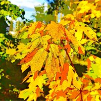 ОСЕНЬ :: Юрий Владимирович 34