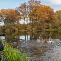 Купальную шапочку оставил дома,пришлось так :: Сергей Цветков