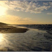 *** :: Aleksandr Gal