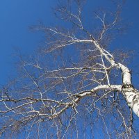 Октябрь :: Евгения Каравашкина