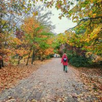 Осень 12 октября 2025 года :: Игорь Сарапулов