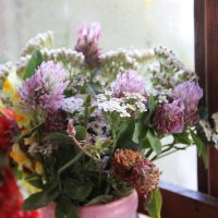 Поздние цветы :: Венера Чуйкова