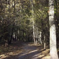 В парке... :: Freddy 97