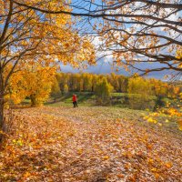 Октябрь в Царицыно... :: Владимир Жданов