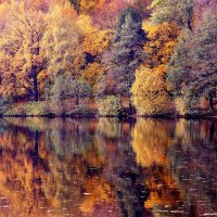 Царицыно 11 октября :: Михаил Бибичков