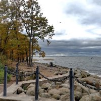 Берег парка "Дубки" :: Сергей 