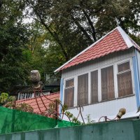 Закрываем дачный сезон :: Татьяна Машошина Закрываем дачный сезон :: Татьяна Машошина