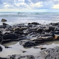 Без названия :: serg 