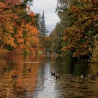 Осень на Елагином. :: Владимир 