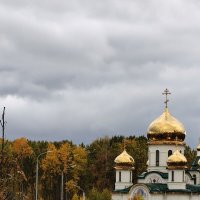 Краски осени :: Андрей 