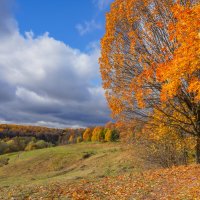 Октябрь в Царицыно... :: Владимир Жданов Октябрь в Царицыно... :: Владимир Жданов