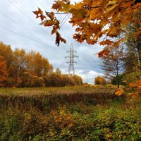 Зрелая осень :: Андрей Лукьянов Зрелая осень :: Андрей Лукьянов