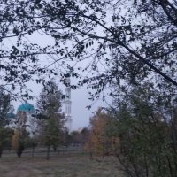 Торжество октября :: Андрей Хлопонин