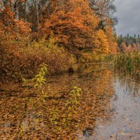 .... :: Николай 