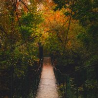 старый подвесной мост :: Michel 