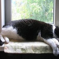 Когда на улице дождь :: Людмила Смородинская