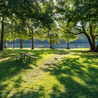 Парк Берроуз :: **** vedin