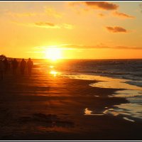 *** :: Aleksandr Gal