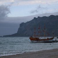 Природа Крыма :: Amazing Cosmea