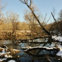 весна на реке рожайка :: Сергей Лычагин