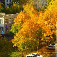 Внезапный луч солнца... вечера :: Юрий Куликов