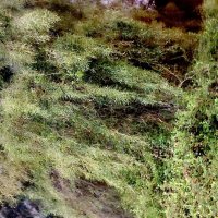 13  ОПЕН (504) :: OPEN WAYS ALL