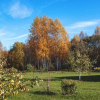 осень в деревне Белое. :: Владимир Зеленцов