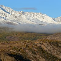 *** :: владимир 