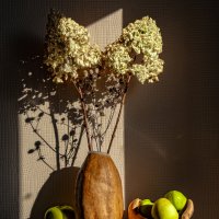 ... :: Владимир 